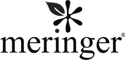 Meringer x Cognize Collaboration